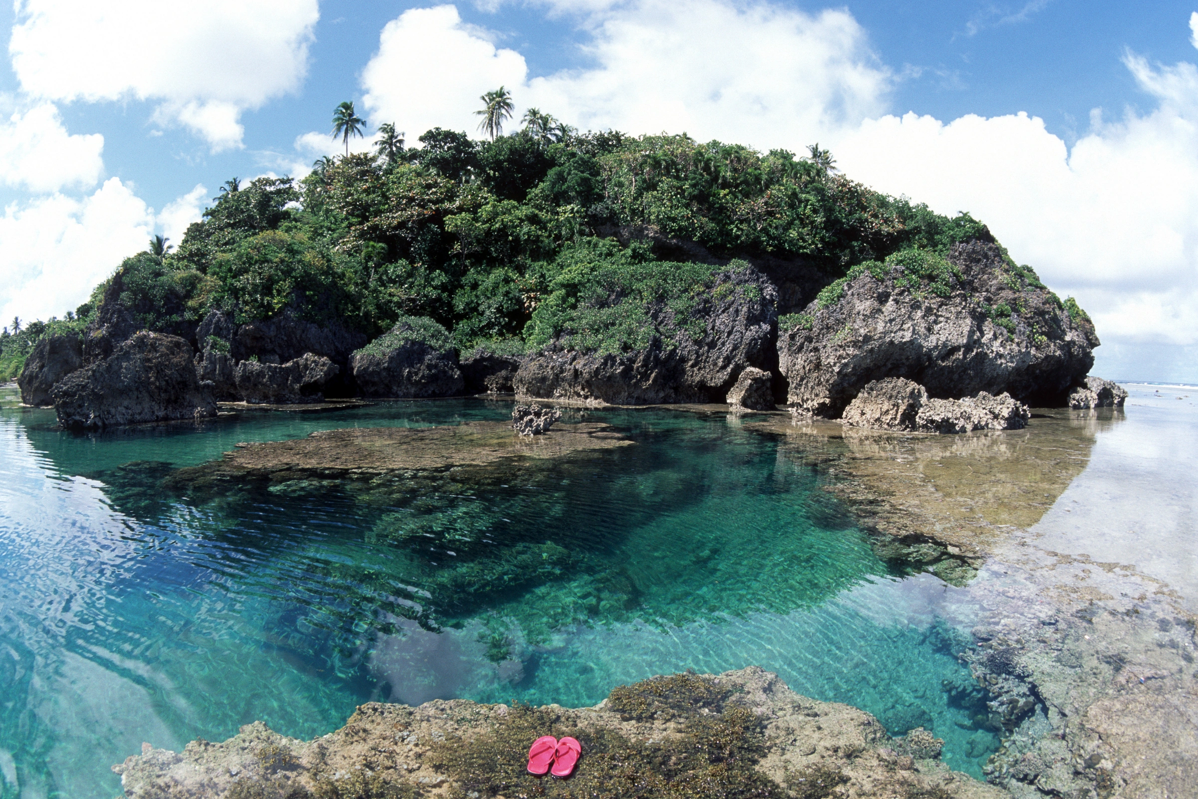 Samar_Island_Natural_Park[1].webp